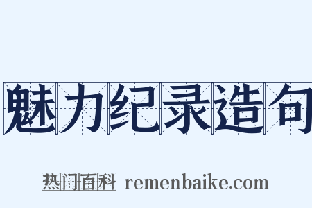 魅力纪录造句是什么意思的图片
